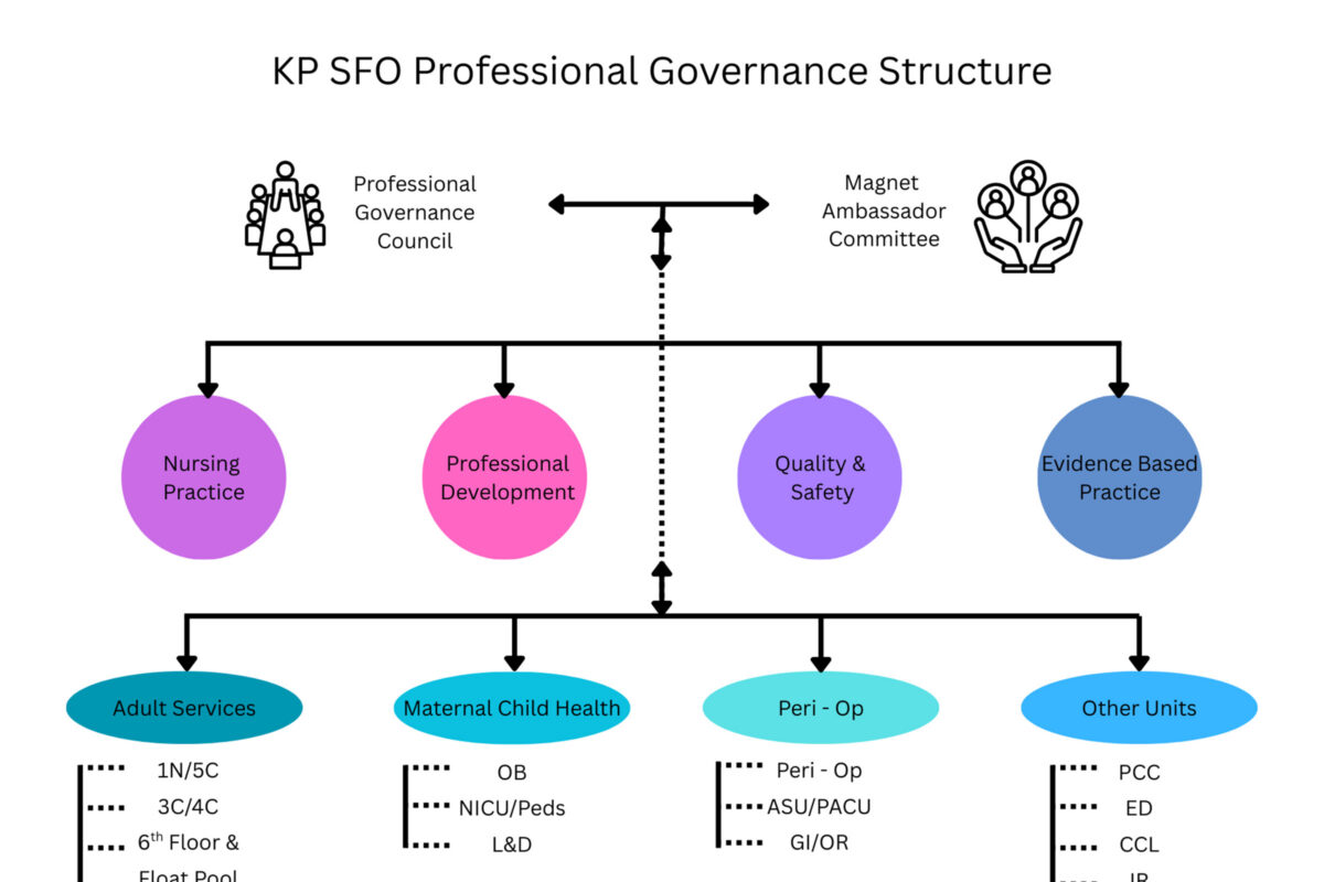 SFO governance structure