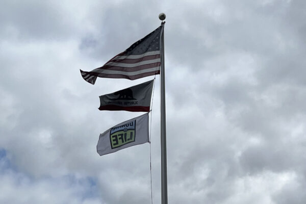 Donate life flag