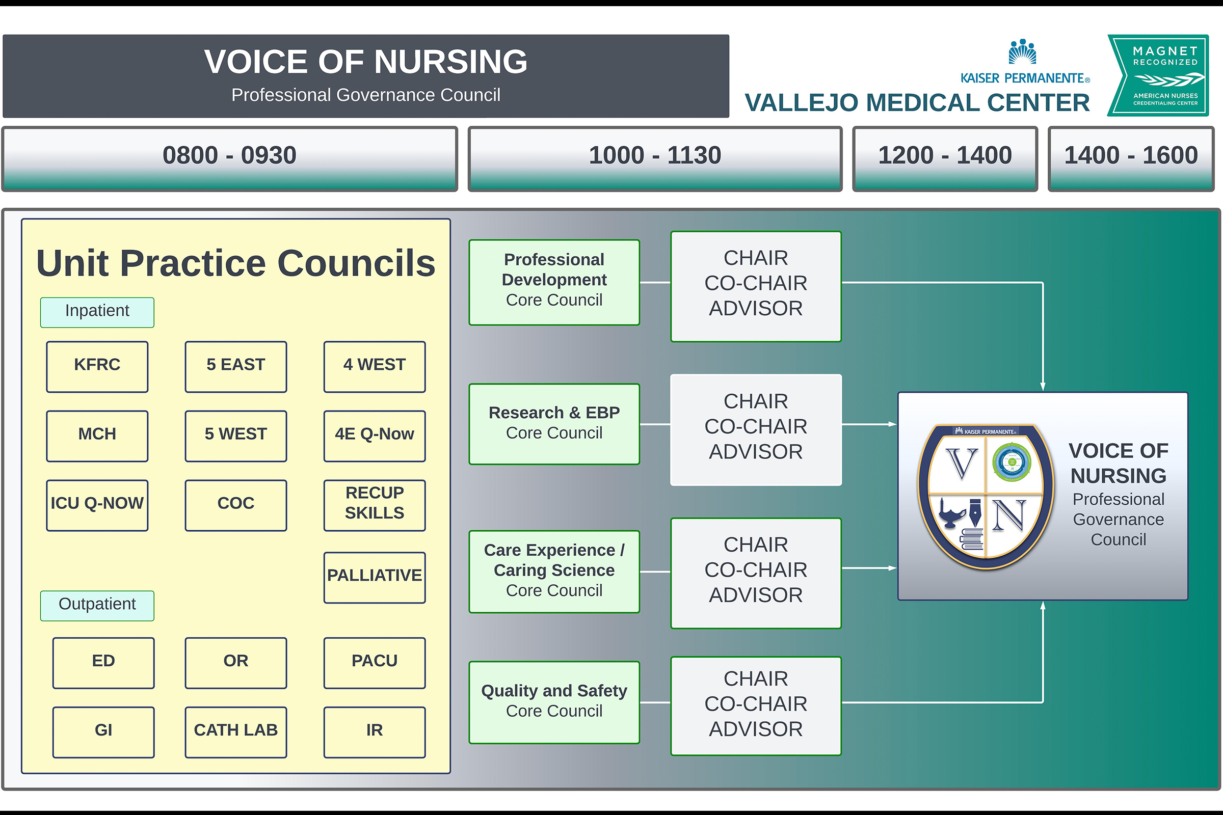 Coordinating_Council_Voice_of_Nursing_Structure Voice of nursing structure
