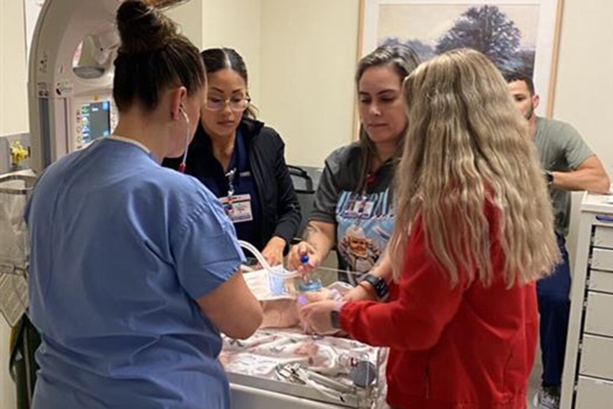 nurses participate in neonatal training