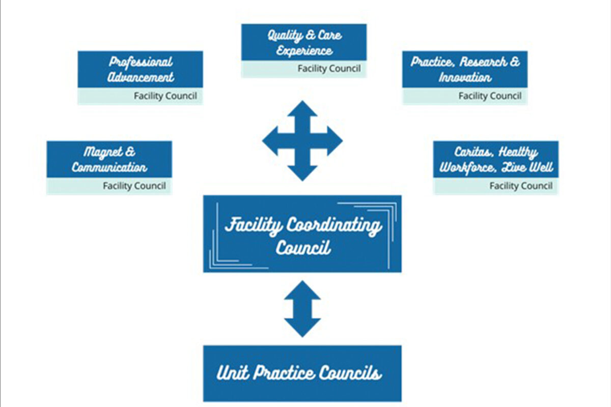 SCL-Professional-Governance