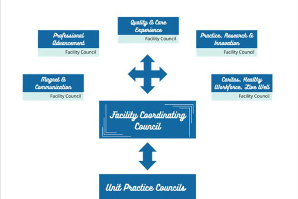 SCL-Professional-Governance